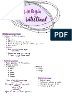 Fisiología Del Intestino Delgado y El Colon