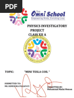 Phy Project Report Format