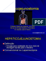 Hepaticojejunostomia: Cirurgia para nova drenagem biliar