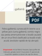 Febră galbenă