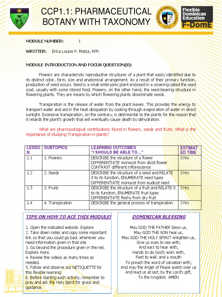 Ccp1.1: Pharmaceutical Botany With Taxonomy | PDF | Fruit | Botany