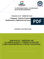 SISTEMA DE TIPIFICACIÓN - Junio2016 - Versión Final A Revisar