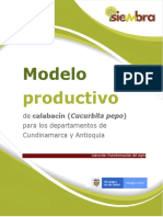 Modelo productivo de calabacín en Cundinamarca y Antioquia
