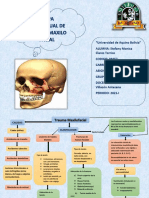 Claros Torrico Stefany Mapa Conceptual de Trauma Maxilo Facial