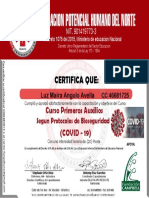 Curso Primeros Auxilios Covid 19-2 Luz Maira Angulo Avella