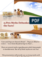 15 Pets Myths Debunked, Know The Facts!