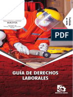 Libro Bib Lab Guia Derechos Laborales 2020