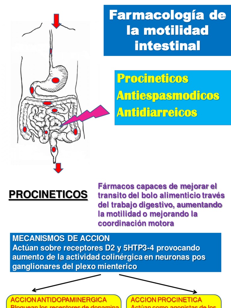 Mecanismos de acción de procinéticos | PDF | Diarrea | Acetilcolina