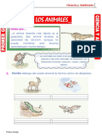 Los Animales para Primer Grado de Primaria