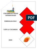 Concesión de Aguas Superficiales - Esmeralda Diaz