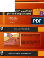 Presentacion Proceso Inflamatorio