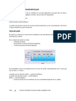 Tema 5. Sueño y Formación Reticular 