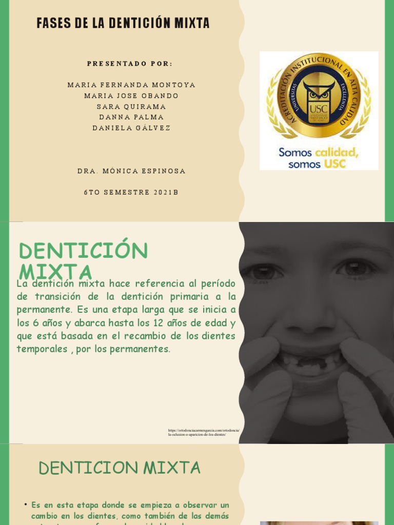 Fases de La Dentición Mixta | PDF | Diente | Cabeza y cuello humanos