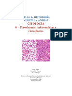Peroxisomas - Mitocondrias - Cloroplastos
