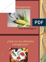 Alimentos_Transgenicos