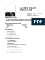 Cv- Andy Luigui Sanchez Torres