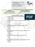 Examen - 11° Química