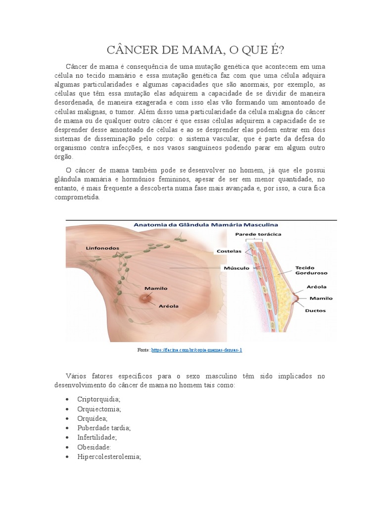 Câncer de Mama Masculino - o Que É A Doença | PDF | Câncer de mama | Câncer