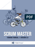 Scrum Master