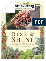Rise Shine 2021