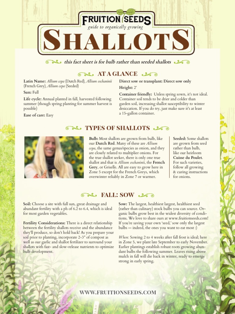 Fruition Seeds Planting Calendar edu.svet.gob.gt