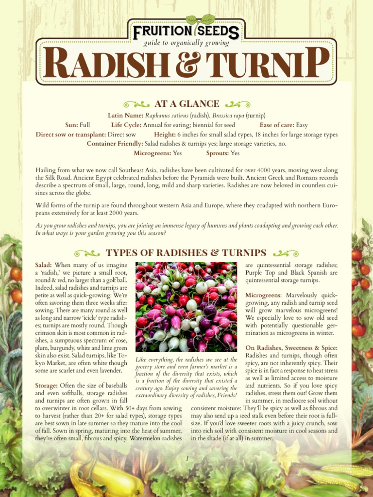 Growing Guide Radishes Turnips PDF Turnip Seed