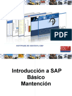 Introducción A SAP Basico