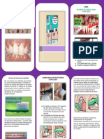 11 Triptico de La Tecnica de Charlers Grupal