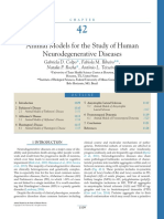 Animal Models For The Study of Human Neurodegenerative Diseases