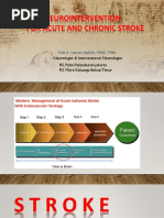 Neurointervention For Acute and Chronic Stroke