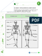 Articles-25411 Recurso Docx