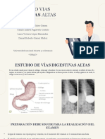 Vias Digestivas Altas