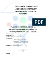 Evaluación y optimización de la producción en campos maduros de Bolivia (Campo Margarita – HCY X1