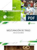 MOlturacion Del Trigo