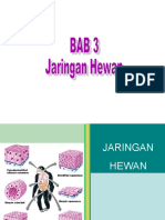 biologi-bab-3-jaringan-hewan