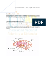 El Sistema Límbico y Su Funcionalidad