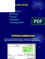 Perkecambahan