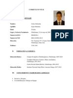 CURRICULUM VITAE Carlos