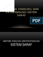 Anatomi, Fisiologi, Dan Patofisiologi Sistem Saraf