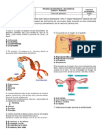 Evaluacion 4 Periodo Grado 3° Ciencias