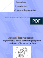 Asexual Reproduction - GR 8