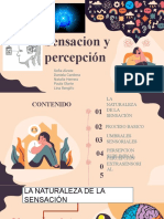 Diapositivas Percepcion y Sentidos Editada 1.0