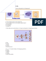 Latihan Soal Pembelahan Sel 2021-2022