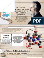 Difusión Molecular Más Convección y Reacción Química