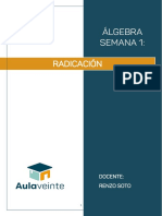 Semana 1-Radicación