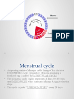 Menstrual Cycle