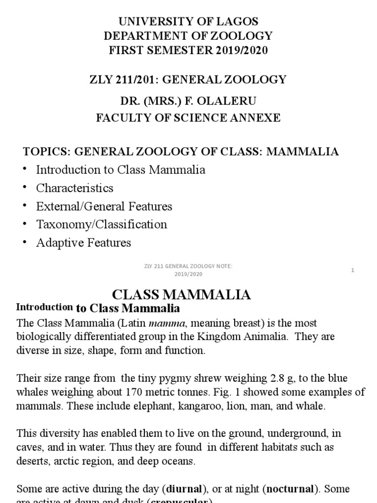 Overview of Class Mammalia Characteristics | PDF | Mammals | Tooth