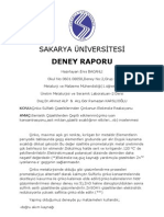DENEY RAPORU (Deney 2)