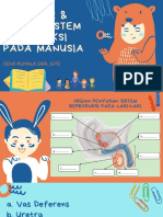 Struktur & Fungsi Sistem Reproduksi Pada Manusia