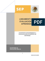 9 Lineamientos Evaluacion Del Aprendizaje